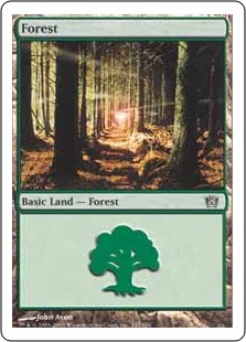 Forêt - 8ième Edition