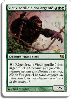 Vieux gorille à dos argenté - 9ième Edition