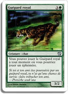 Guépard royal - 9ième Edition