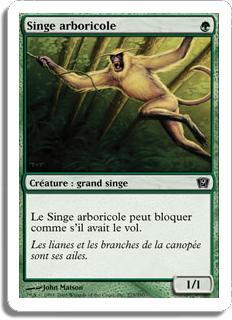 Singe arboricole - 9ième Edition