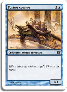 Tortue cornue - 9ième Edition