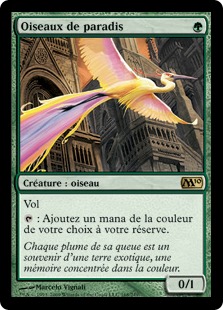 Oiseaux de paradis - Magic 2010