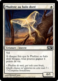 Phalène au halo doré - Magic 2011