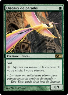 Oiseaux de paradis - Magic 2011