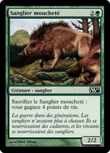 Sanglier moucheté - Magic 2011