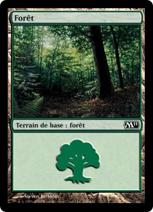 Forêt - Magic 2011