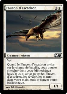 Faucon d'escadron - Magic 2011