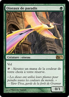 Oiseaux de paradis - Magic 2012