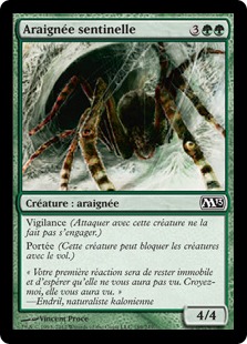 Araignée sentinelle - Magic 2013