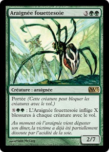 Araignée fouettesoie - Magic 2013