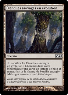 Étendues sauvages en évolution - Magic 2013