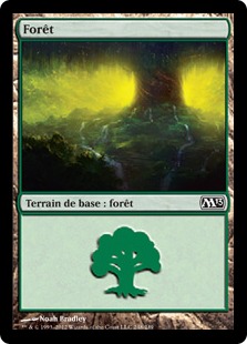 Forêt - Magic 2013