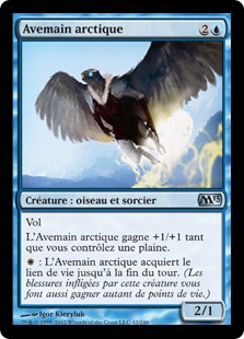 Avemain arctique - Magic 2013