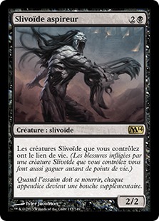 Slivoïde aspireur - Magic 2014