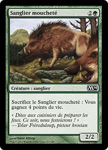 Sanglier moucheté - Magic 2014