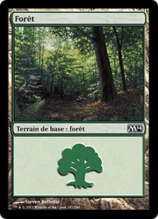 Forêt - Magic 2014