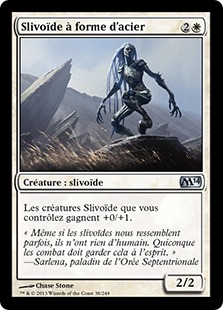 Slivoïde à forme d'acier - Magic 2014