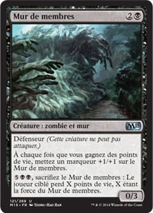 Mur de membres - Magic 2015