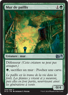 Mur de paillis - Magic 2015