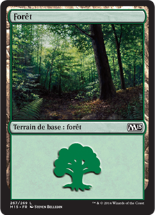 Forêt - Magic 2015
