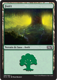 Forêt - Magic 2015