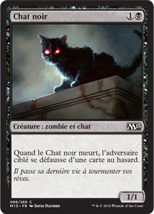 Chat noir - Magic 2015