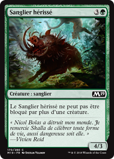 Sanglier hérissé - Magic 2019