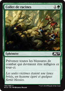 Collet de racines - Magic 2019