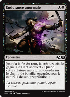 Endurance anormale - Magic 2019