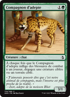 Compagnon d'adepte - Amonkhet