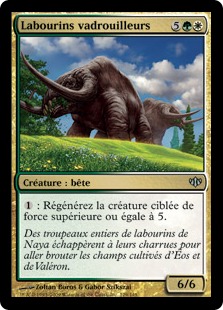 Labourins vadrouilleurs - Conflux