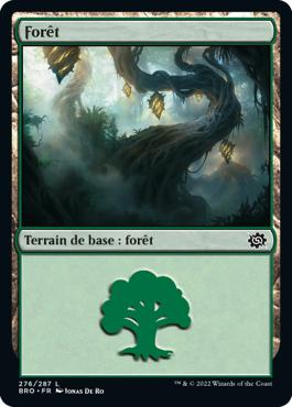 Forêt - La Guerre Fratricide