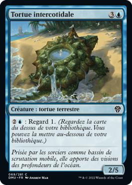 Tortue intercotidale - Dominaria Uni