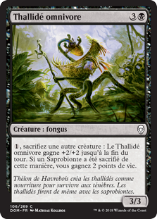 Thallidé omnivore - Dominaria