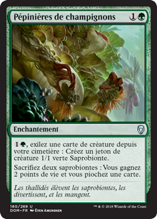 Pépinières de champignons - Dominaria