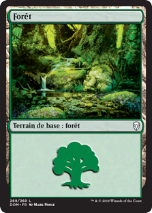 Forêt - Dominaria