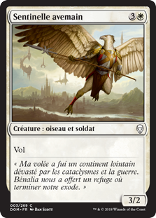 Sentinelle avemain - Dominaria