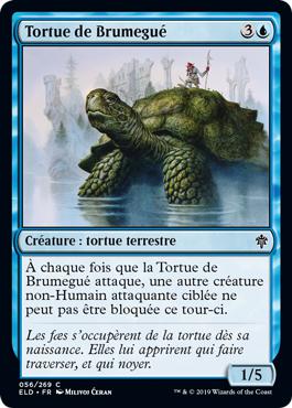 Tortue de Brumegué - Le trône d'Eldraine