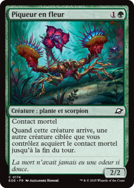 Piqueur en fleur - Aux portes des Eternités