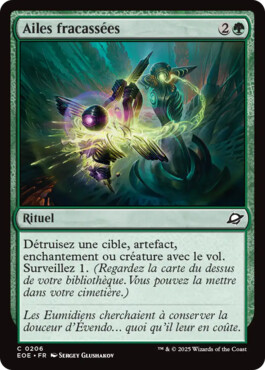 Ailes fracassées - Aux portes des Eternités