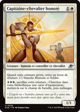 Capitaine-chevalier honoré - Aux portes des Eternités