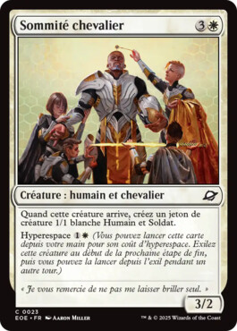 Sommité chevalier - Aux portes des Eternités