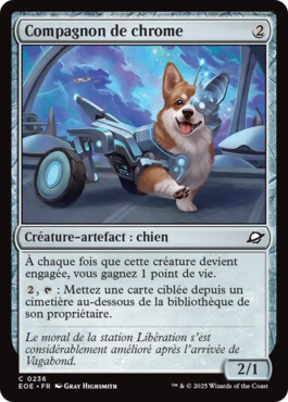 Compagnon de chrome - Aux portes des Eternités
