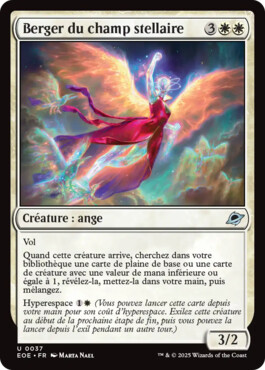 Berger du champ stellaire - Aux portes des Eternités