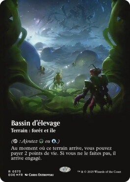 Bassin d'élevage - Aux portes des Eternités