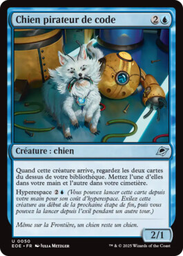 Chien pirateur de code - Aux portes des Eternités