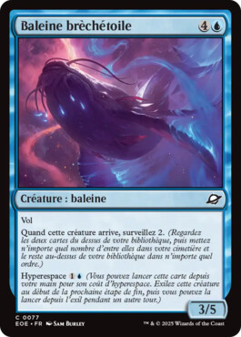 Baleine brèchétoile - Aux portes des Eternités