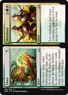 Flore // Floraison - Guildes de Ravnica