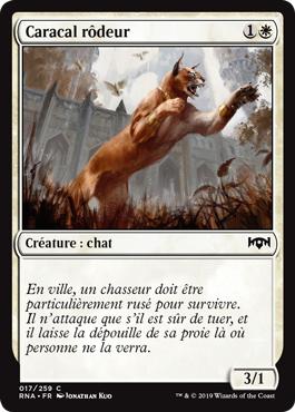 Caracal rôdeur - L'allégeance de Ravnica