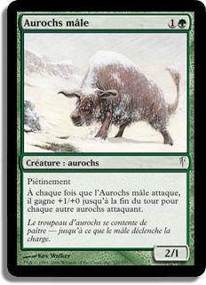 Aurochs mâle - Souffle Glaciaire